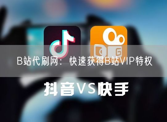 B站代刷网：快速获得B站VIP特权